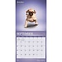2027 BrownTrout Yoga Puppies 12" x 12" Monthly Wall Calendar (9798330713585)~#|#~sp320874543_sc7