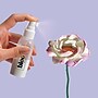 Hasbro Blooms Play-Doh Meadow Bouquet Kit (G5046)~#|#~sp321186719_sc7