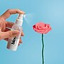 Hasbro Blooms Play-Doh Wildflower Petite Bouquet Kit (G4729)~#|#~sp321186735_sc7