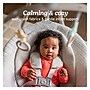 Graco DuetConnect LX Baby Swing and Bouncer, Wales (2231820)~#|#~sp321253834_sc7