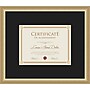 Amanti Art 8.5" x 11" Polystyrene Document Frame, Florence Gold (A426710363793)~#|#~sp321504966_sc7