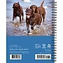2027 Willow Creek What Labs Teach Us 6.5" x 8.5" Weekly & Monthly Desk Calendar (64481)~#|#~sp321568808_sc7