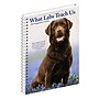 2027 Willow Creek What Labs Teach Us 6.5" x 8.5" Weekly & Monthly Desk Calendar (64481)~#|#~sp321568810_sc7