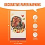 Say Hooray! Bountiful Bird Thanksgiving Paper Plates and Dinner Napkins Set, Multicolore, 48/Pack (DTC9850E2H)~#|#~sp321569744_sc7