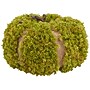 Safavieh 15" Faux Moss Pumpkin (FXP1068A)~#|#~sp321569845_sc7