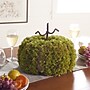 Safavieh 15" Faux Moss Pumpkin (FXP1068A)~#|#~sp321569846_sc7
