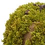 Safavieh 15" Faux Moss Pumpkin (FXP1068A)~#|#~sp321569847_sc7