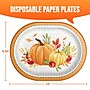 Say Hooray! Autumn Orchard Paper Plates, Multicolored, 32 Plates/Pack (DTC380588OVAL)~#|#~sp321635646_sc7