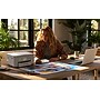 Epson Expression Home XP-5250 Wireless Color All-in-One Inkjet Printer, Best for Home~#|#~sp321965071_sc7