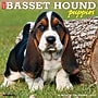 2027 Willow Creek Basset Hound Puppies 12" x 12" Monthly Wall Calendar, Assorted Colors (59036)~#|#~sp321966842_sc7