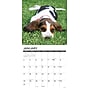 2027 Willow Creek Basset Hound Puppies 12" x 12" Monthly Wall Calendar, Assorted Colors (59036)~#|#~sp321966844_sc7