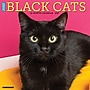 2027 Willow Creek Black Cats 12" x 12" Monthly Wall Calendar, Assorted Colors (59241)~#|#~sp321969191_sc7