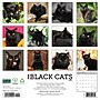 2027 Willow Creek Black Cats 12" x 12" Monthly Wall Calendar, Assorted Colors (59241)~#|#~sp321969192_sc7