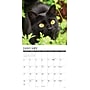 2027 Willow Creek Black Cats 12" x 12" Monthly Wall Calendar, Assorted Colors (59241)~#|#~sp321969193_sc7