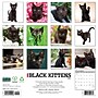 2027 Willow Creek Black Kittens 12" x 12" Monthly Wall Calendar, Assorted Colors (59258)~#|#~sp321969201_sc7