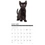 2027 Willow Creek Black Kittens 12" x 12" Monthly Wall Calendar, Assorted Colors (59258)~#|#~sp321969202_sc7