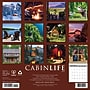 2027 Willow Creek Cabin Life 12" x 12" Monthly Wall Calendar, Assorted Colors (59418)~#|#~sp322035699_sc7