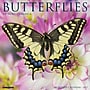2027 Willow Creek Butterflies 12" x 12" Monthly Wall Calendar, Assorted Colors (59401)~#|#~sp322035706_sc7