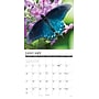 2027 Willow Creek Butterflies 12" x 12" Monthly Wall Calendar, Assorted Colors (59401)~#|#~sp322035708_sc7