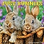 2027 Willow Creek Just Bunnies 2027 12" x 12" Monthly Wall Calendar, Assorted Colors (59395)~#|#~sp322035719_sc7