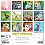 2027 Willow Creek Just Bunnies 2027 12" x 12" Monthly Wall Calendar, Assorted Colors (59395)~#|#~sp322035720_sc7