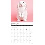 2027 Willow Creek Just Bunnies 2027 12" x 12" Monthly Wall Calendar, Assorted Colors (59395)~#|#~sp322035721_sc7