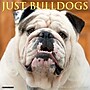 2027 Willow Creek Just Bulldogs 12" x 12" Monthly Wall Calendar, Assorted Colors (59388)~#|#~sp322035725_sc7