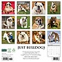 2027 Willow Creek Just Bulldogs 12" x 12" Monthly Wall Calendar, Assorted Colors (59388)~#|#~sp322035726_sc7