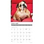 2027 Willow Creek Just Bulldogs 12" x 12" Monthly Wall Calendar, Assorted Colors (59388)~#|#~sp322035727_sc7