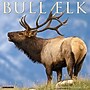 2027 Willow Creek Bull Elk 12" x 12" Monthly Wall Calendar, Assorted Colors (59357)~#|#~sp322035754_sc7