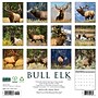 2027 Willow Creek Bull Elk 12" x 12" Monthly Wall Calendar, Assorted Colors (59357)~#|#~sp322035755_sc7