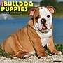 2027 Willow Creek Bulldog Puppies 12" x 12" Monthly Wall Calendar, Assorted Colors (59371)~#|#~sp322035762_sc7