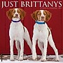 2027 Willow Creek Just Brittanys 12" x 12" Monthly Wall Calendar, Assorted Colors (59333)~#|#~sp322035784_sc7
