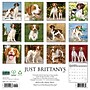 2027 Willow Creek Just Brittanys 12" x 12" Monthly Wall Calendar, Assorted Colors (59333)~#|#~sp322035785_sc7