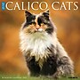 2027 Willow Creek Calico Cats 12" x 12" Monthly Wall Calendar (59432)~#|#~sp322039517_sc7