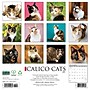 2027 Willow Creek Calico Cats 12" x 12" Monthly Wall Calendar (59432)~#|#~sp322039518_sc7