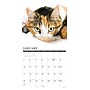 2027 Willow Creek Calico Cats 12" x 12" Monthly Wall Calendar (59432)~#|#~sp322039519_sc7