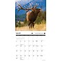 2027 Willow Creek Call of the Wild 12" x 12" Monthly Wall Calendar (59456)~#|#~sp322039601_sc7