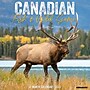 2027 Willow Creek Canadian Fish & Wild Game 12" x 12" Monthly Wall Calendar (59487)~#|#~sp322039720_sc7