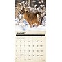 2027 Willow Creek Canadian Fish & Wild Game 12" x 12" Monthly Wall Calendar (59487)~#|#~sp322039722_sc7
