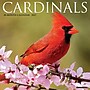 2027 Willow Creek Cardinals 12" x 12" Monthly Wall Calendar (59500)~#|#~sp322039726_sc7