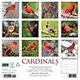 2027 Willow Creek Cardinals 12" x 12" Monthly Wall Calendar (59500)~#|#~sp322039727_sc7