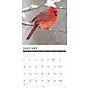 2027 Willow Creek Cardinals 12" x 12" Monthly Wall Calendar (59500)~#|#~sp322039728_sc7