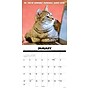2027 Willow Creek Cat Chat 12" x 12" Monthly Wall Calendar (59524)~#|#~sp322039741_sc7