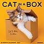 2027 Willow Creek Cat in a Box 12" x 12" Monthly Wall Calendar (59531)~#|#~sp322039752_sc7