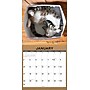 2027 Willow Creek Cat in a Box 12" x 12" Monthly Wall Calendar (59531)~#|#~sp322039755_sc7
