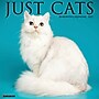 2027 Willow Creek Cats 12" x 12" Monthly Wall Calendar (59562)~#|#~sp322039764_sc7