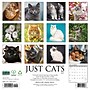 2027 Willow Creek Cats 12" x 12" Monthly Wall Calendar (59562)~#|#~sp322039765_sc7