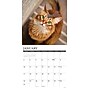 2027 Willow Creek Cats 12" x 12" Monthly Wall Calendar (59562)~#|#~sp322039766_sc7