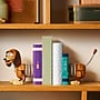 LEGO Disney Pixar Toy Story Slinky Dog Bookends, 1311 Pieces (43301)~#|#~sp322042166_sc7
